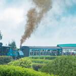 Best Time to Visit Darjeeling – Weather, Seasons & Travel Tips