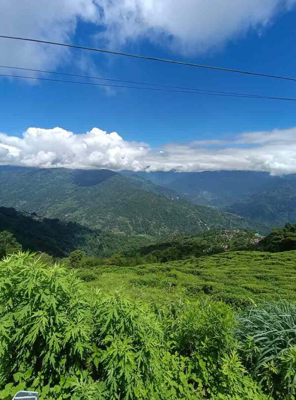 East Sikkim