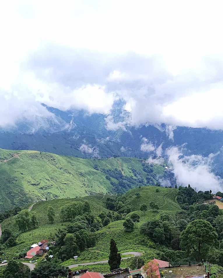 Happy Valley Tea Estate