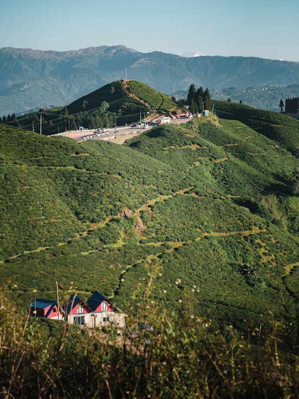 Mirik