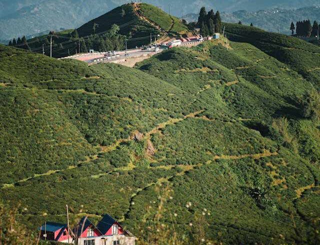 Mirik