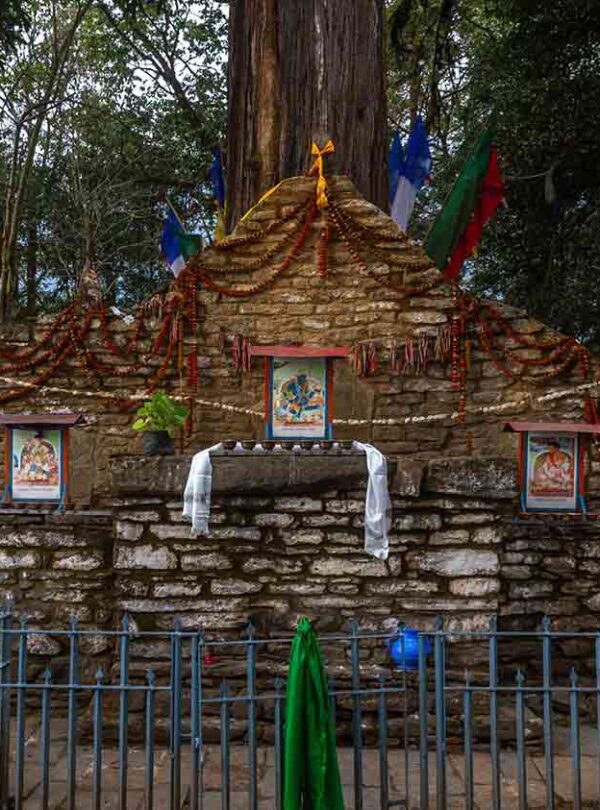 Yuksom Coronation Throne