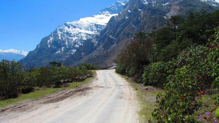 Yumthang (Valley of Flowers).